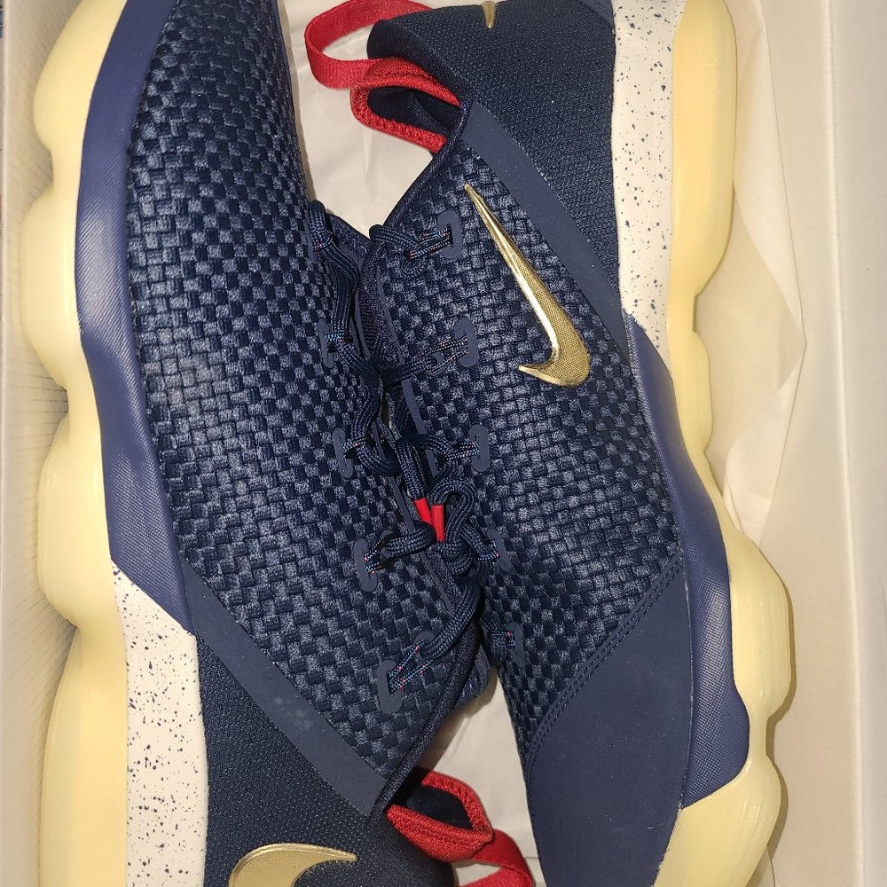 Lebron XIV Low